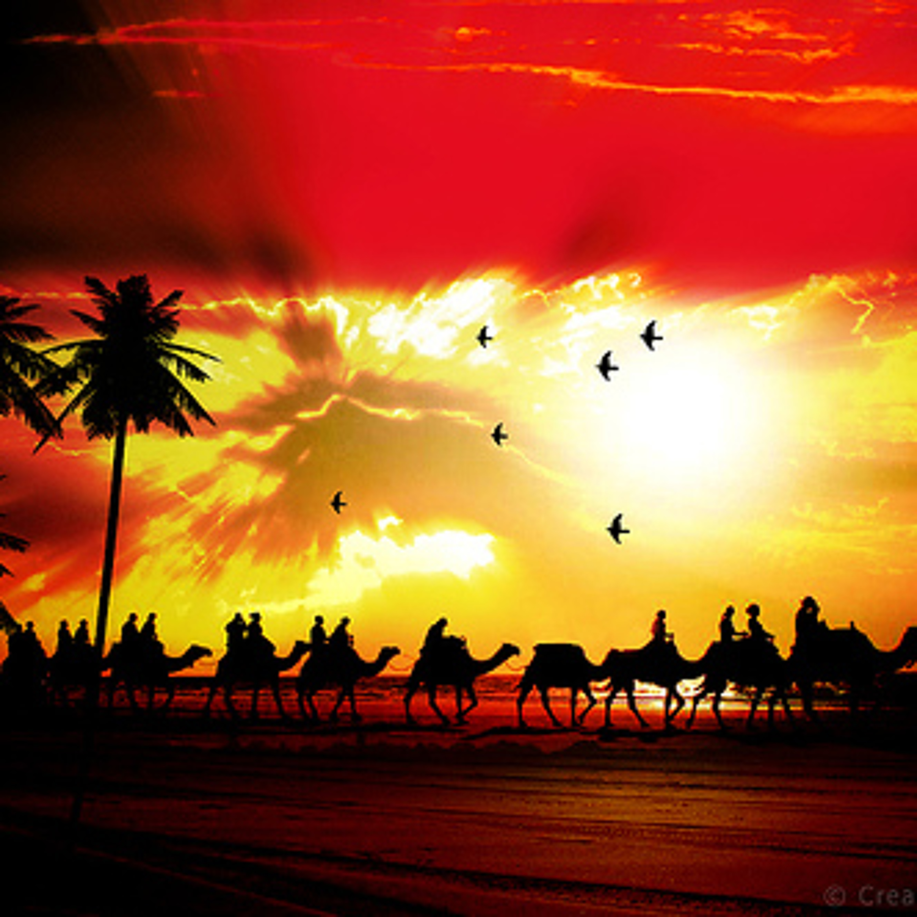 DJ4Kat - M-Audio Freestyle Arabian Melody [Instrumental] [FREE DOWNLOAD] episode artwork