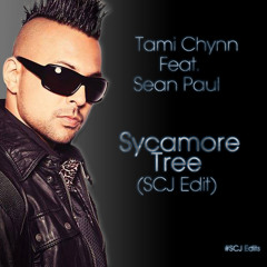 Tami Chynn Feat. Sean Paul - Sycamore Tree [SCJ Edit]  [100BPM]
