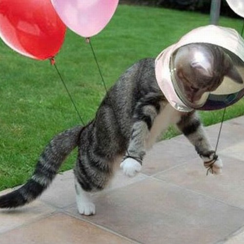 SOMA - FLYIN (SPACESHIPS)