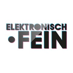 2013-05-19, Christian Forgács - Elektronisch•Fein Podcast #001