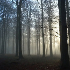 sun* sparkle symphony