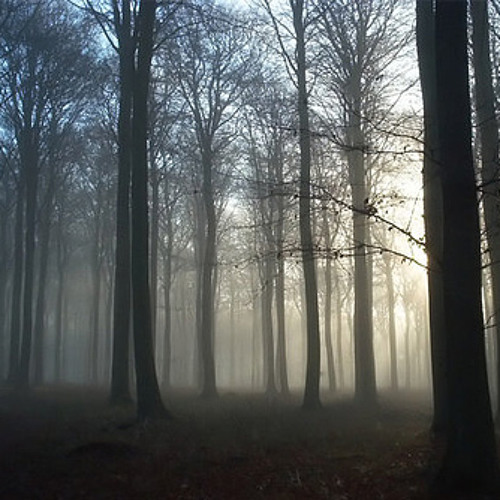 sun* sparkle symphony