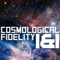 Cosmological Fidelity