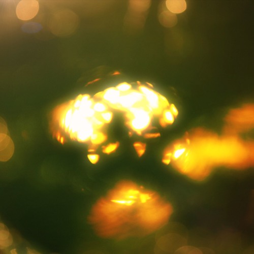 Chrypton - Blue Night