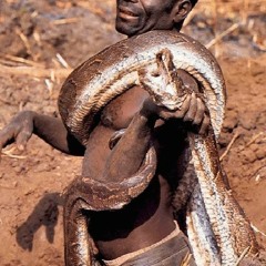 Snake ass nigga feat dolo