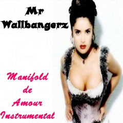 Mr Wallbangerz Manifold de Amour instrumental.mp3