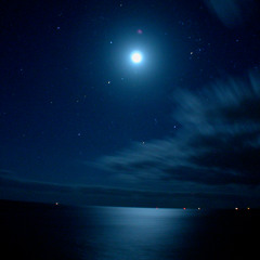 Moonlight Shuffle (Original Mix)