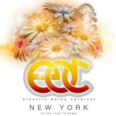 Sultan + Ned Shepard LIVE @ EDC NYC 2013