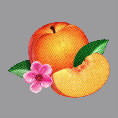 PHOENIX - TRYING TO BE COOL (WEEKEND WOLVES REMIX)