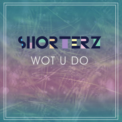 Tom Shorterz - Wot U Do (Shorterz Stop & Drop Mix) SAMPLE !!