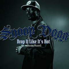 Snoop Dog vs Mord Fustang - Drop it like it´s a Mustang (mr. modmoto Mashup)