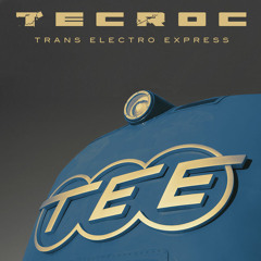 TRANS ELECTRO EXPRESS