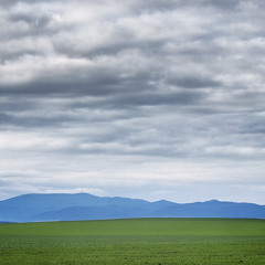 Distant Echoes (DJ Nikolai Remix)