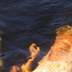 Sister of the Sea (acoustic) - Maggie Clifford