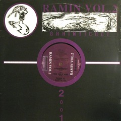 Ramin - Brainticket ( Klopfgeister 2013 Remix)