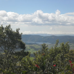 (Coldplay) Fix you - Juan Diego Miranda