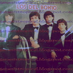 la musica los del bohio 1991