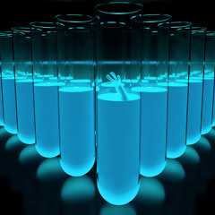 OurNoize - The Experiment