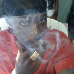 Roxx - smoke d high grade