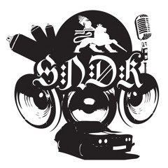 Syndicat du rap (La Chronik - 2009)