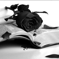 HEARTSREVOLUTION- Digital Suicide