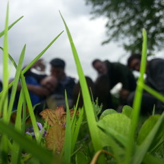 Magical Morpheuz Log out