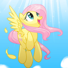 Soar