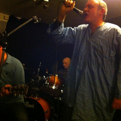 the swans
