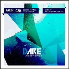 Demir - Gypsylicious (Darek Rec.)