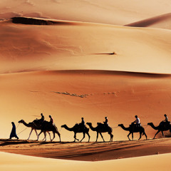 Uzaktan Kayıt / Aqua, Keman, Ud - Sahara