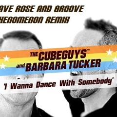THE CUBE GUYS and Barbara Tucker I Wanna Dance With Somebody(Dave Rose and Groove Phenemenon remix)