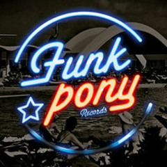 George West - Couldn't Move (Andrew C. Remix) SAMPLE [FunkPony Rec.]