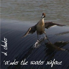 d Ander - ´a´nder the water surface (deep house / tech house)