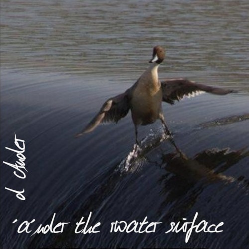 d Ander - ´a´nder the water surface (deep house / tech house)