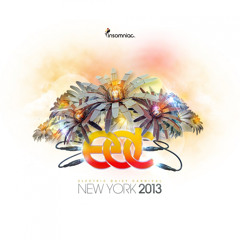 Arty at Electric Daisy Carnival - New York, USA [17.05.2013]