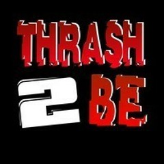 The Ting Ting's - That's no my name! (Thrash2be Remix) (2011)