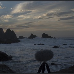Ocean dawn waves