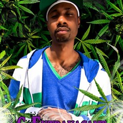 Let s Smoke Slow d & Chop d By RojEiO