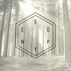 Supynės 2013