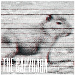 The Capybara - Sore (Jay Jay Johanson Cover)