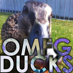 DYCOON - OMFG DUCKS!! (CLIP)