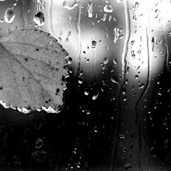Music of Rain (Eros - Chris Spheeris)