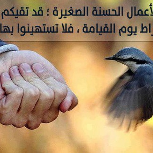 Stream Salwa El | Listen to quran Ahmed al ajami playlist online for free  on SoundCloud