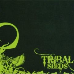 Tribal Seeds - Dawn of Time (Brazilian Tour 2013)