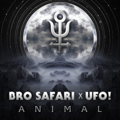 Bro Safari & UFO! - No Time To Sleep