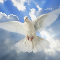 Creator, Messiah, Our Father