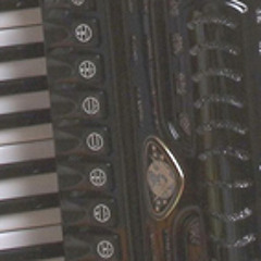 Arrigo Tomasi: Gitan Swing (Tony Murena cover)