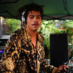 Seth Troxler Live @ Electric Zoo, New York - 09-05 2009