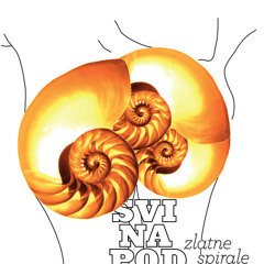 Svi Na Pod! - Zlatne Spirale (inje remix)