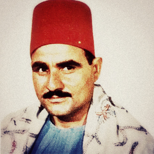 الشيخ السيد متولى